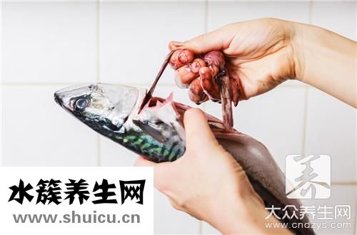 魚膽破了辦