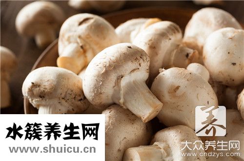 雞湯里放什么食材好