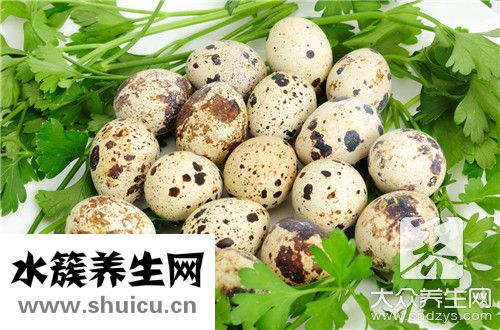 鵪鶉蛋炒菜法大全