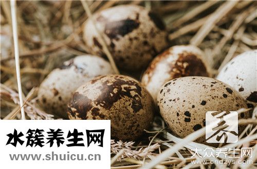 鵪鶉蛋害處
