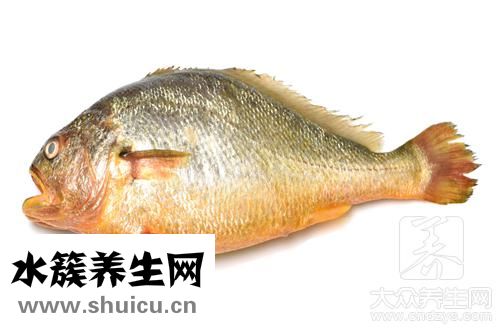 黃魚營養價值及功效