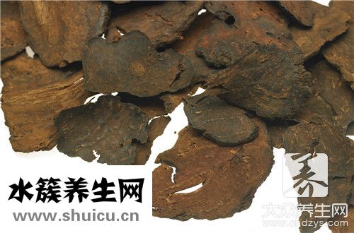 何首烏泡水喝功效