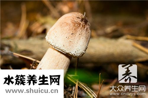 土豆香菇燉雞腿