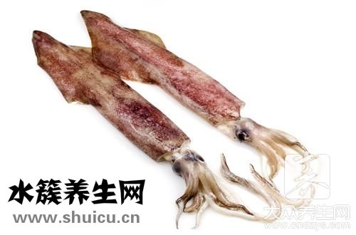 鮮魷魚