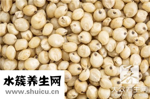 高粱釀酒技術(shù)