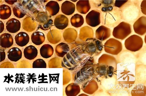 蜂巢蜜真假