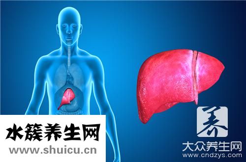 食物補肝最好最快