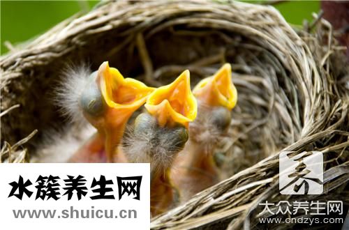 孕婦有沒有必要燕窩