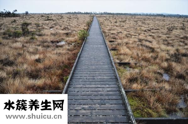 一副眼鏡多少錢