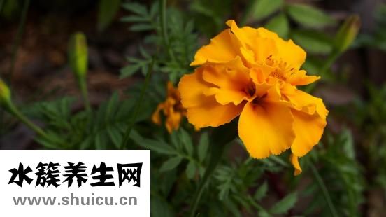 嗜酸性粒細(xì)胞偏高