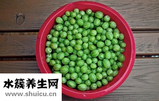 皮蛋可以放多久