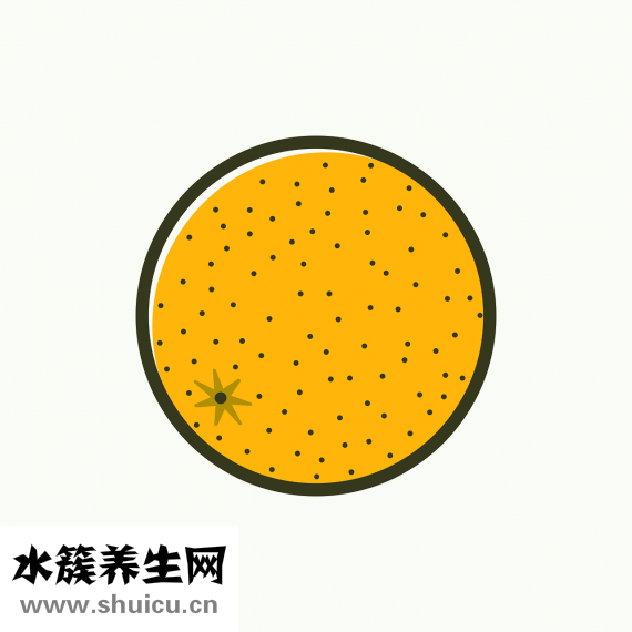 一杯豆漿多少毫升