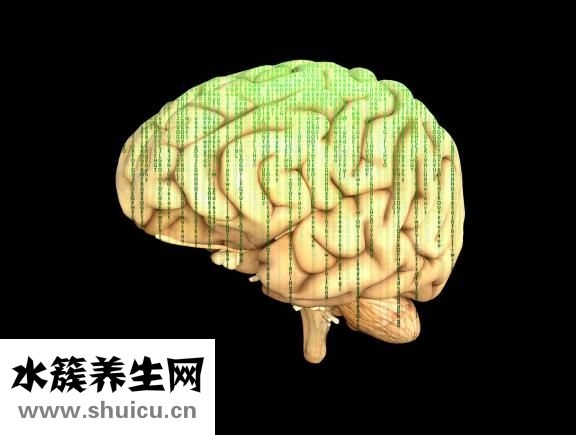 田七和三七一樣嗎