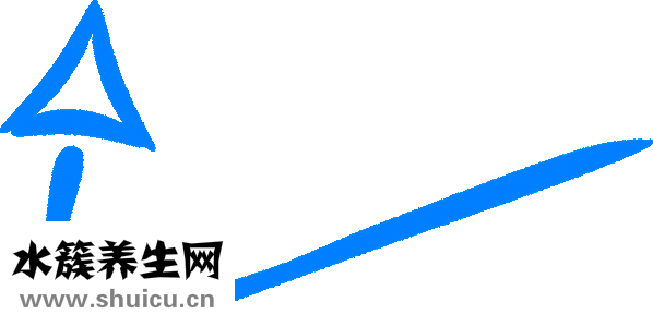 乳房下垂手術(shù)