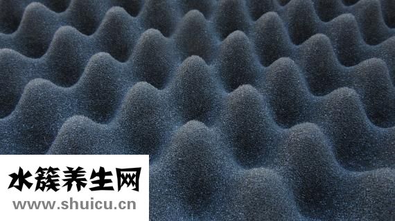 流質食物食譜大全