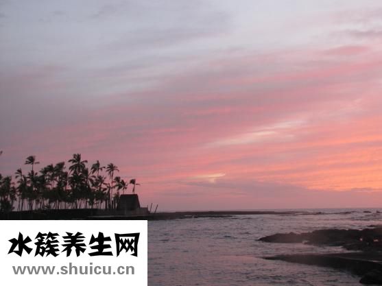 鹽酸特比萘芬片