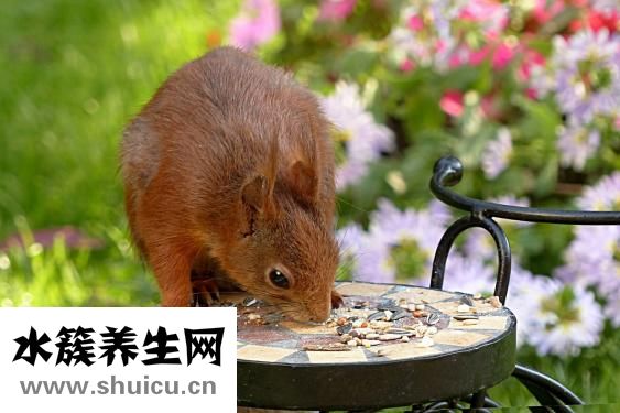 缺血性中風(fēng)