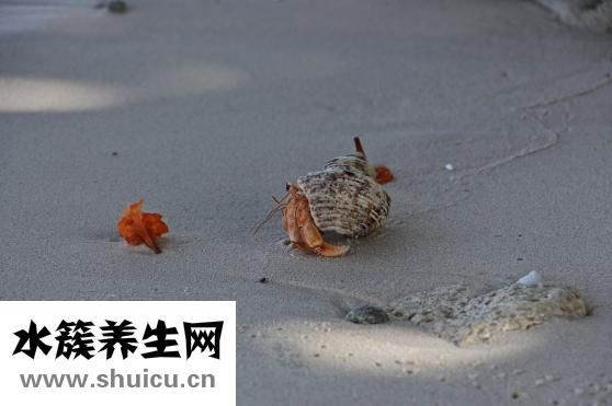 驗血能查出什么