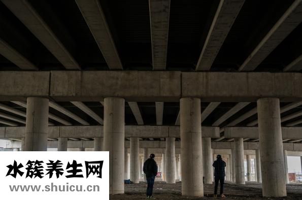 濕氣重會怎么樣