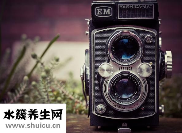 陰道實(shí)物圖