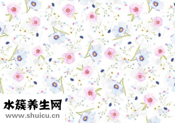 漲奶有硬塊怎么辦