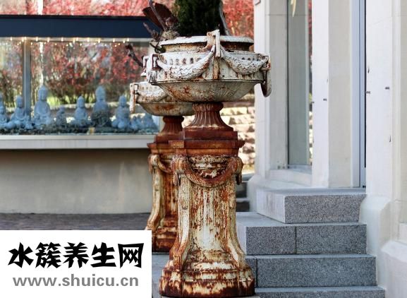 大豆蛋白質含量