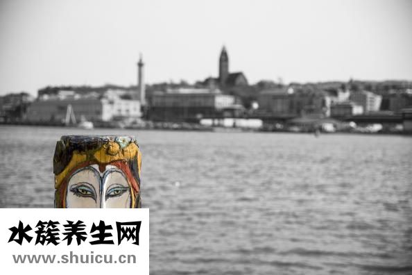 睡覺前喝水好嗎