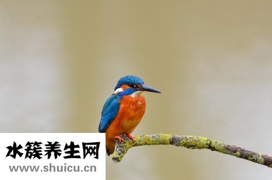 手術拆線痛不痛