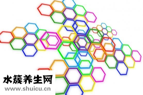 大豆蛋白質含量