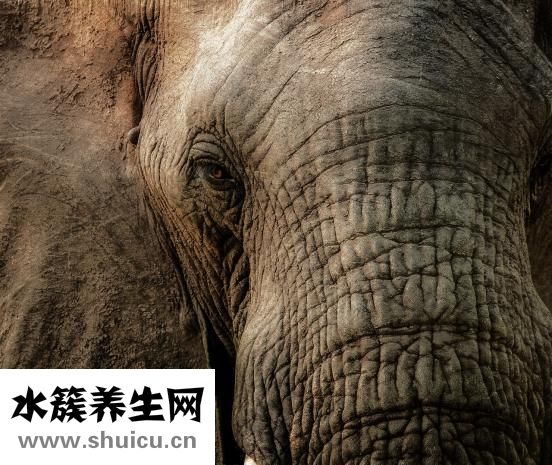 眼部皺紋怎么去除