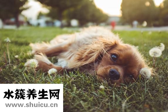 濕疹圖片初期癥狀