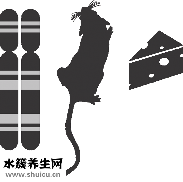 胃有點(diǎn)脹氣怎么辦