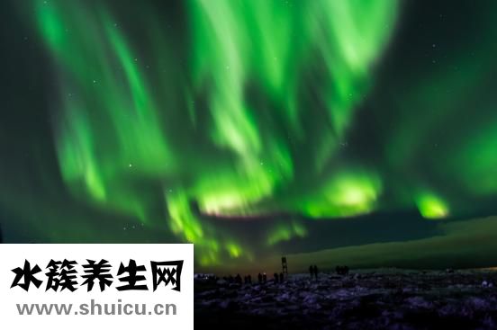 嬰兒搖頭是怎么回事