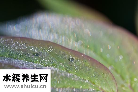 一直打噴嚏流鼻涕