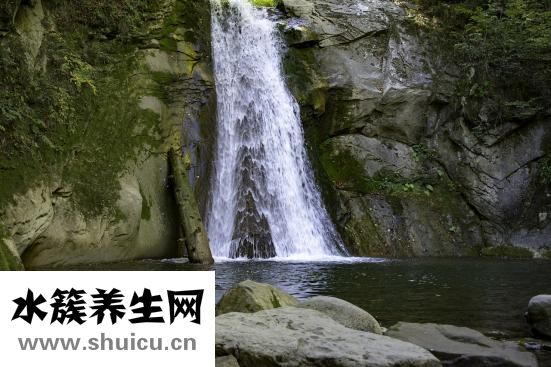 醒腦牛黃清心片