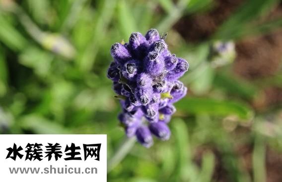 醫用防護口罩標準