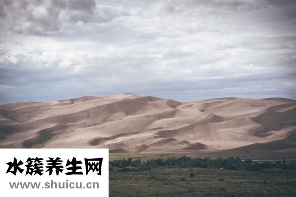 象牙的功效和作用