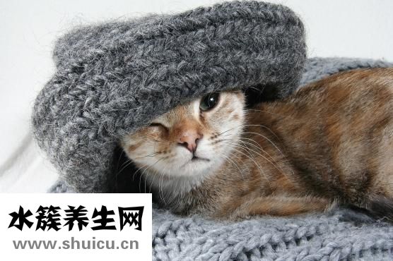 頭發(fā)油是怎么回事