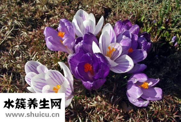 四維看男孩女孩訣竅