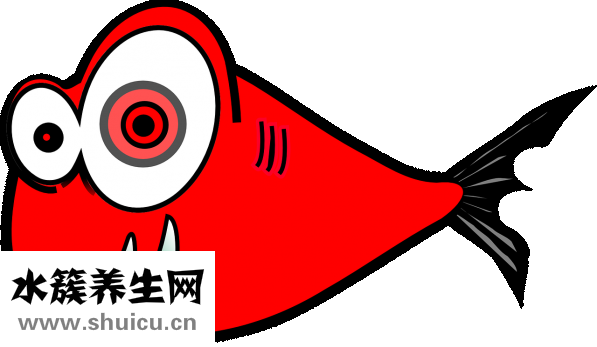 小孩換牙時(shí)間