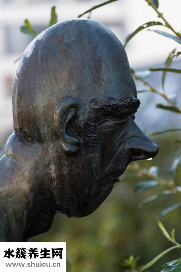 一枝黃花噴霧劑