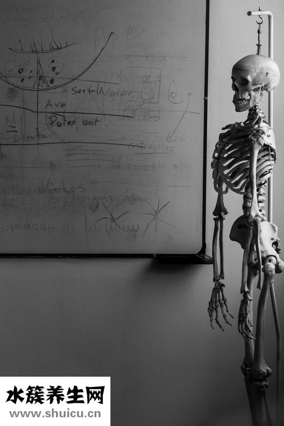 十大補(bǔ)鈣食物排行榜