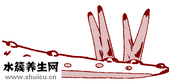 打網球的好處和壞處