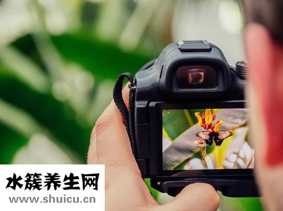 驗(yàn)孕棒懷孕的圖片