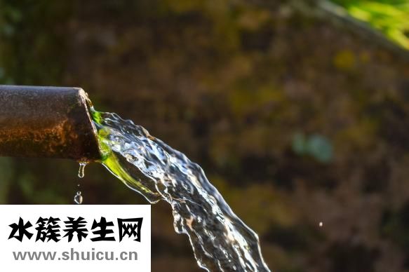 十大補(bǔ)鈣食物排行榜