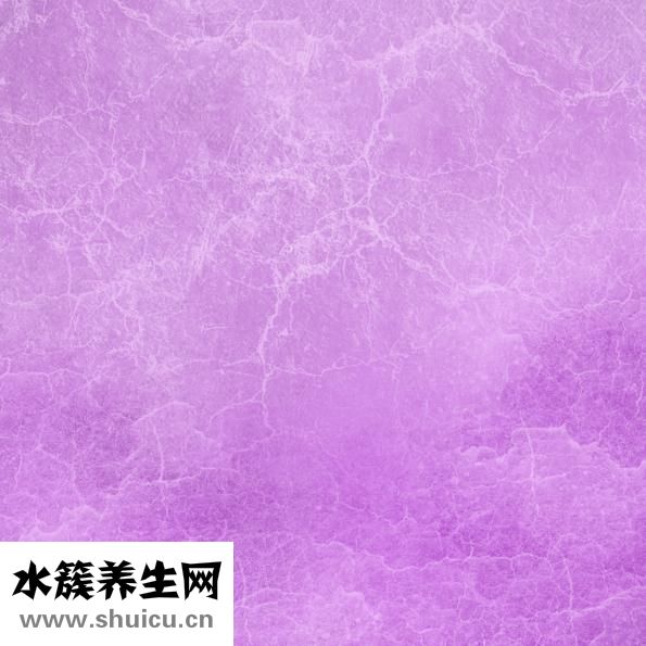 一斤雞蛋多少個(gè)