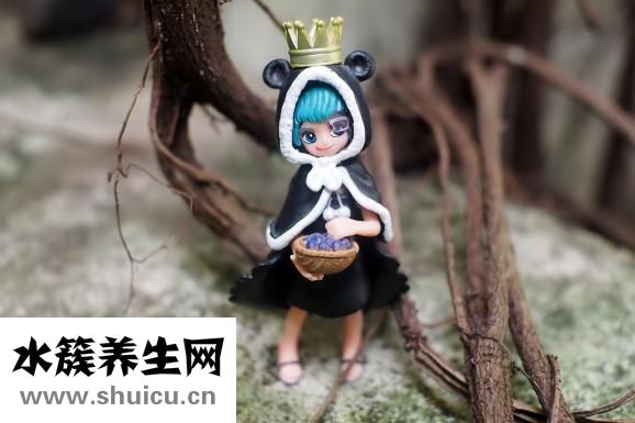 鹽酸特拉唑嗪片