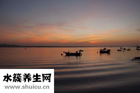 易瘦體質養成法