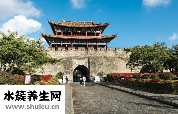 蘇子油的功效與作用