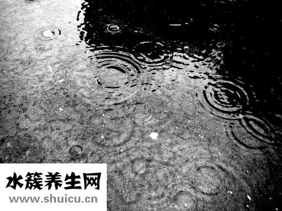 胸腺瘤手術(shù)